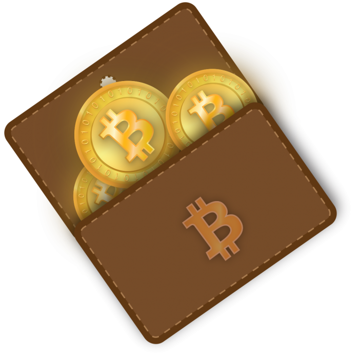 tipos de carteiras para bitcoins